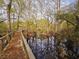Scenic view of a lake and a lakeside pier enhanced by tall trees and still waters creating a calming backdrop at 3695 Cannon Rd, Round O, SC 29474