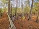 Raised boardwalk trail through a dense forest and swamp showcasing scenic views of nature at 3695 Cannon Rd, Round O, SC 29474