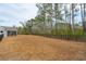 Extensive backyard, enclosed by a black fence and lush trees at 4045 Oxeye Loop, Johns Island, SC 29455