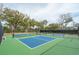 Two green and blue pickleball courts surrounded by a black fence and mature trees at 4045 Oxeye Loop, Johns Island, SC 29455