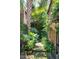 Lush courtyard pathway featuring vibrant greenery and classic brick architecture, creating a serene outdoor retreat at 41 Tradd St, Charleston, SC 29401