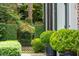 Charming front yard with meticulously manicured greenery, a decorative wrought iron gate, and classic architectural details at 41 Tradd St, Charleston, SC 29401