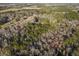 Aerial view capturing homes within a lush, forested neighborhood at 754 Miriam Ln, Ridgeville, SC 29472