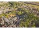 An aerial perspective showing dwellings nestled within a forest neighborhood setting at 754 Miriam Ln, Ridgeville, SC 29472