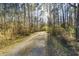 Gravel driveway leading through a wooded area providing a secluded entrance to the property at 754 Miriam Ln, Ridgeville, SC 29472