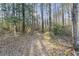 Wooded view with leaf covered ground on a sunny day at 754 Miriam Ln, Ridgeville, SC 29472