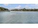 Beautiful community waterfront view featuring lush trees and multiple docks on a sunny day at 95 Plymouth Ave, Charleston, SC 29412