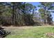 Expansive backyard featuring lawn and mature trees at 106 Harriet Tubman Ln, Moncks Corner, SC 29461