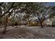 A home's backyard has trees and landscaping. String lights light up the yard at dusk at 1365 Whippoorwill Farm Rd, Johns Island, SC 29455