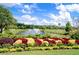 Beautiful pond with fountains surrounded by colorful landscaping and lush greenery create a welcoming ambiance at 1962 Bellona St, Charleston, SC 29492