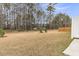 Spacious backyard featuring an expansive lawn and a beautiful wooded area at 205 Cozy Brook Ct, Summerville, SC 29486