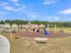 Community playground with swings, slides, and climbing structures, ideal for recreation at 205 Cozy Brook Ct, Summerville, SC 29486