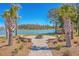 Community lakeside fire pit area with brick seating and palm tree landscaping at 215 Shortmarsh St, Summerville, SC 29486