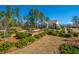 Spacious backyard with manicured landscaping, fountain, and view of the beautiful home at 225 Camber Rd, Huger, SC 29450