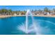 Scenic lake view with a large fountain spraying water in the center and creating a colorful rainbow at 225 Camber Rd, Huger, SC 29450