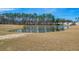 Scenic pond surrounded by mature trees and lush greenery offers a tranquil view for residents at 229 Coral Sunset Way, Summerville, SC 29486