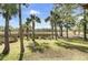 Expansive backyard with palm trees offers stunning views of the surrounding marshlands at 2745 Oak Manor Dr, Mount Pleasant, SC 29466