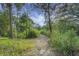 Scenic walking path surrounded by lush vegetation and mature trees at 305 Lanyard St, Johns Island, SC 29455