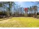 Spacious backyard features a lush lawn, privacy fence, and mature trees at 317 Cantley Ct, Summerville, SC 29486