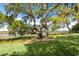 Picturesque backyard featuring a sprawling live oak tree, offering shade and tranquility by the water at 3398 Freeman Hill Rd, Johns Island, SC 29455