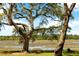 Beautiful view of the water with mature trees in the background at 3398 Freeman Hill Rd, Johns Island, SC 29455