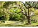 Spanish moss draped across live oak tree branches, painting a classic Southern landscape at 3398 Freeman Hill Rd, Johns Island, SC 29455