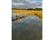 Beautiful marsh front views from the end of the property's private dock at 3398 Freeman Hill Rd, Johns Island, SC 29455