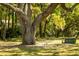 Scenic backyard view featuring a mature live oak tree and a charming wooden swing, creating a serene retreat at 3398 Freeman Hill Rd, Johns Island, SC 29455