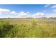 A view of the marsh with green grass in the foreground at 3398 Freeman Hill Rd, Johns Island, SC 29455