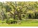 Expansive lawn with mature oaks and spanish moss creating a classic southern landscape at 3398 Freeman Hill Rd, Johns Island, SC 29455