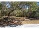 Cleared homesite is ready for your dream home with a variety of mature trees and a paved road at 3434 Kit Freeman Ln, Johns Island, SC 29455