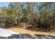 Cleared homesite with easy access with mature trees awaiting your dream home build at 3434 Kit Freeman Ln, Johns Island, SC 29455