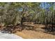Wooded homesite with mature trees and easy access ready for a new home build at 3434 Kit Freeman Ln, Johns Island, SC 29455