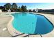 Large outdoor community pool with 5 foot depth marking and no diving warning at 406 Butterfly Bush Dr, Goose Creek, SC 29445