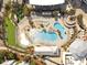 Overhead shot of luxurious resort pool with plenty of seating, palm trees, and well-maintained landscaping at 5802 Palmetto Dr # B-202, Isle of Palms, SC 29451