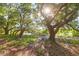 Scenic view of majestic trees with Spanish moss near the water, showcasing the natural beauty of the area at 700 Daniel Ellis Dr # 14206, Charleston, SC 29412