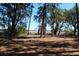 Picturesque landscape featuring trees and marshland under a clear, sunny sky at 700 Daniel Ellis Dr # 6107, Charleston, SC 29412