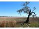 Scenic view of marshland leading to a distant horizon under a clear blue sky at 700 Daniel Ellis Dr # 6107, Charleston, SC 29412