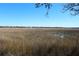 Marsh and grass landscape under blue sky at 700 Daniel Ellis Dr # 6107, Charleston, SC 29412