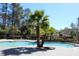 Outdoor swimming pool area with lounge chairs and palm trees on a sunny day at 700 Daniel Ellis Dr # 6107, Charleston, SC 29412