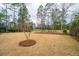 Spacious backyard boasts lush green lawn and manicured landscaping, creating a serene outdoor space at 105 Pine Valley Dr, Summerville, SC 29483