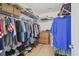 Walk-in closet featuring installed shelving, clothing racks, and a wooden dresser at 127 Garden Gate Way, Summerville, SC 29486