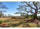 Beautiful backyard with manicured lawn, mature trees, and peaceful marsh views at 204 William St, Mount Pleasant, SC 29464