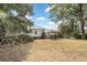 Lush backyard with mature trees and landscaping, offering a peaceful outdoor retreat at 244 Ashley Ave, Charleston, SC 29403