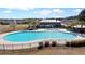 Aerial view of the community pool featuring a large pool area, a shaded pavilion, and meticulously landscaped surroundings at 267 Cameron St, Summerville, SC 29486