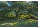 Lush backyard featuring a mature tree providing shade and a small storage building at 318 Hollywood Dr, Charleston, SC 29407