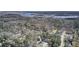 An aerial view showcases a charming home surrounded by lush greenery and mature trees, near the marsh at 3651 Barton St, Johns Island, SC 29455