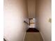 Carpeted stairs leading down, with patterned wallpaper on the walls at 388 Benton Farm Rd, Walterboro, SC 29488