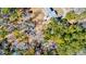 Aerial top-down shot of house surrounded by beautiful greenery and trees, creating a private and serene setting at 4333 Cloudmont Dr, Hollywood, SC 29449