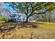 A picturesque backyard with a mature tree providing shade and a glimpse of the home's exterior at 4333 Cloudmont Dr, Hollywood, SC 29449